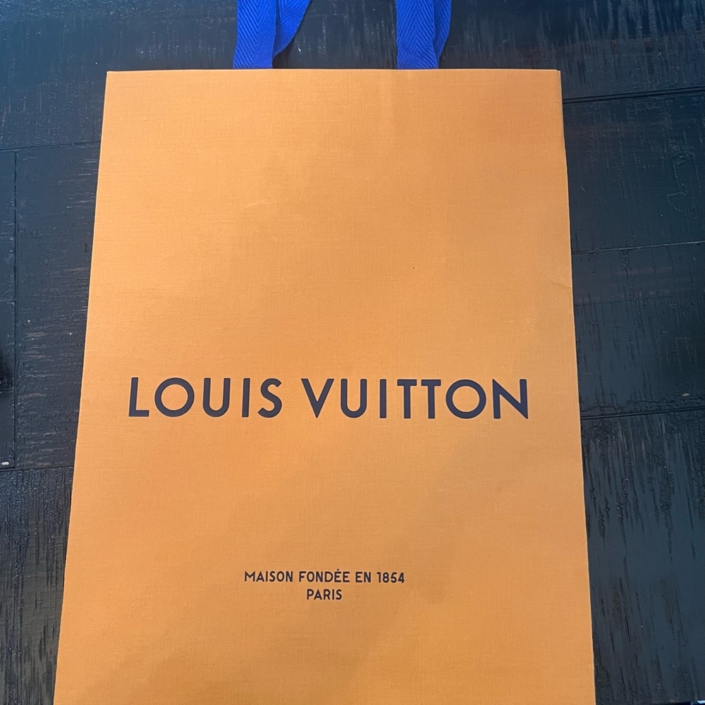 Louis Vuitton 10” x 14” shopping bag. Good condition.  From Paris. - Picture 3 of 7